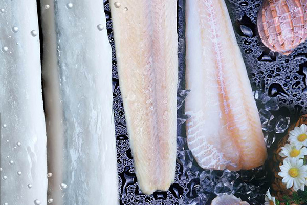 Frozen Fish Seafood Hake Fillets