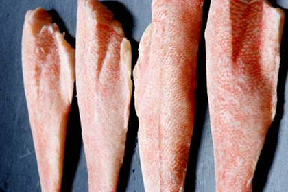 Frozen Fish Seafood Red Fish Fillet