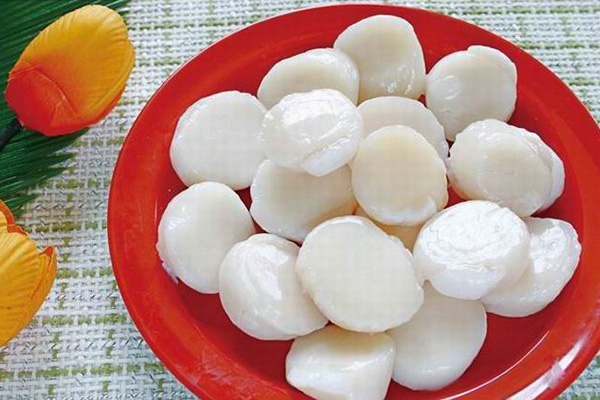 Frozen Fish Seafood Scallop 1